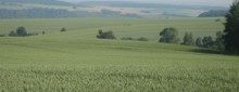 Pflanzenbau Landschaft